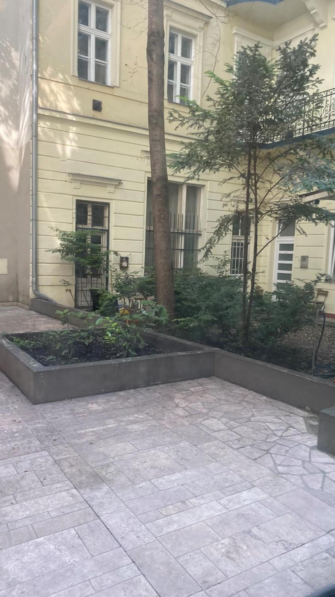 Peony Szekely Mihaly Apartment - Free Garage Budapest Exteriör bild