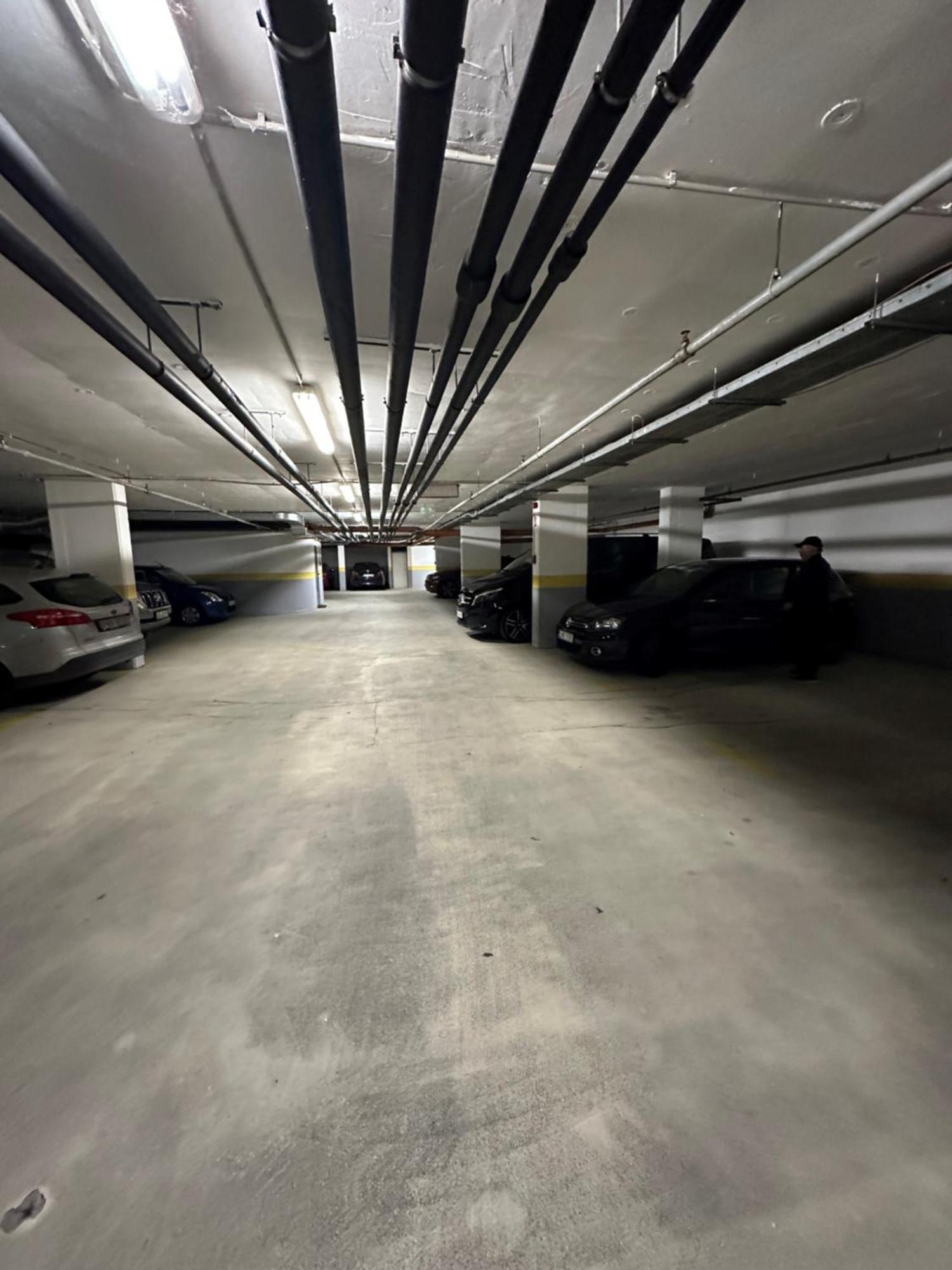 Peony Szekely Mihaly Apartment - Free Garage Budapest Exteriör bild